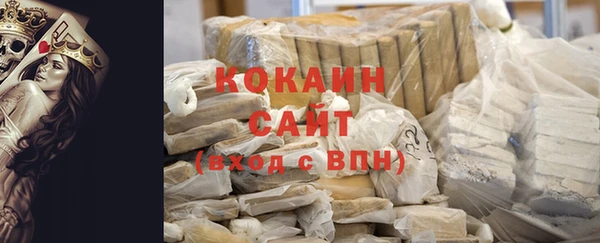 сатива Новозыбков