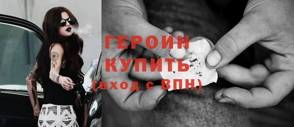 сатива Новозыбков
