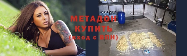 сатива Новозыбков