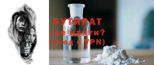 сатива Новозыбков