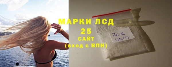 сатива Новозыбков