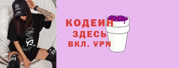 молекула духа Тихвин