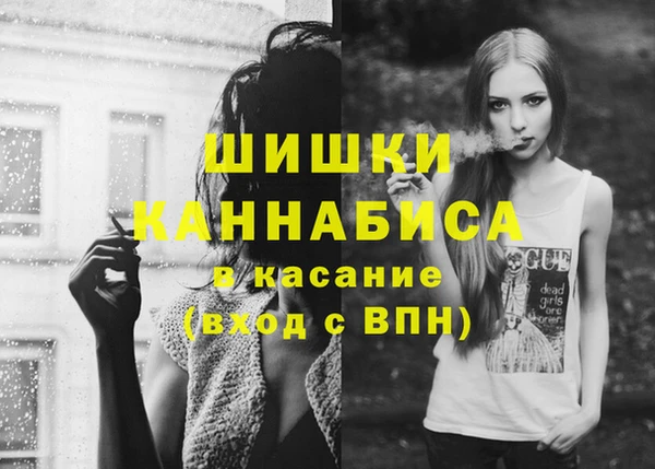 прущая мука Новодвинск