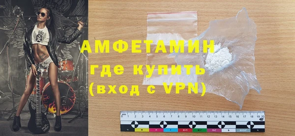 сатива Новозыбков