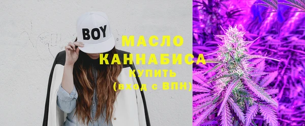 молекула духа Тихвин