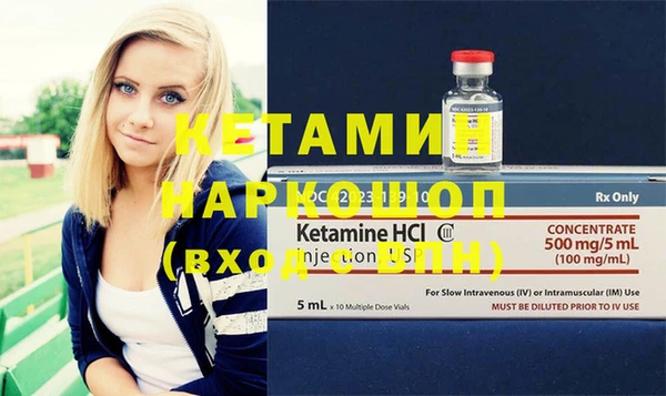 сатива Новозыбков