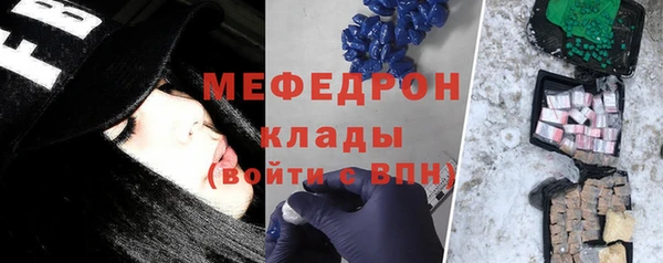 сатива Новозыбков