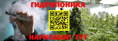 мяу мяу мука Абакан