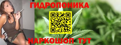 спайс Гатчина