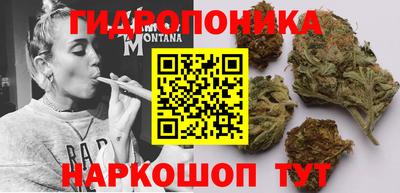 мяу мяу мука Абакан