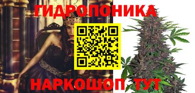 мяу мяу мука Абакан