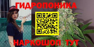 мяу мяу мука Абакан