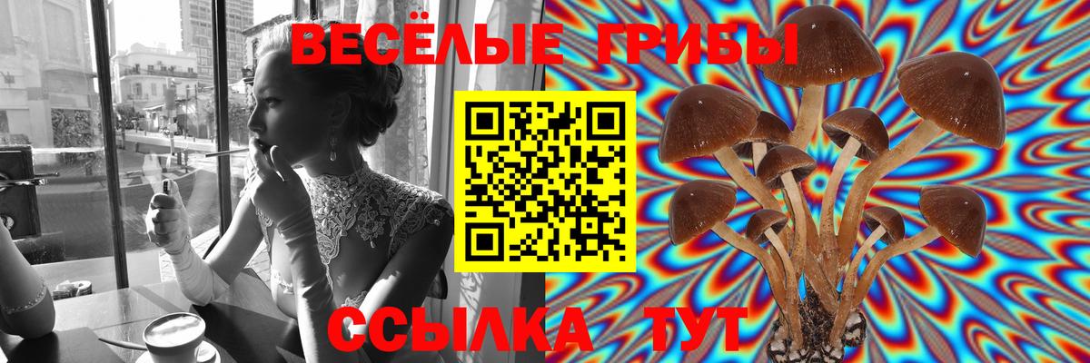 Галлюциногенные грибы ЛСД Александров